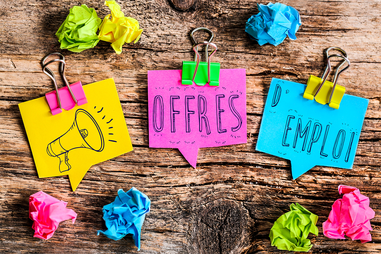 Enquetrice Ou Enqueteur Jeunesse Codem